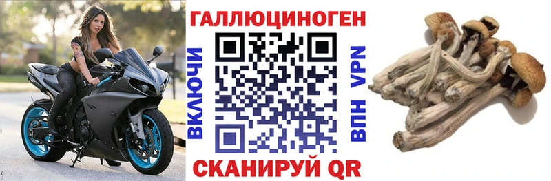 цены   Верхоянск  мега сайт  Псилоцибиновые грибы MAGIC MUSHROOMS 